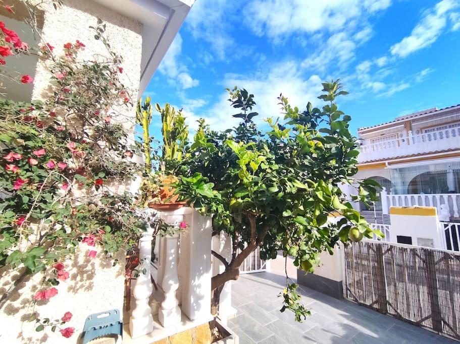 Rincon Mediterraneo Gran Alacant Dış mekan fotoğraf